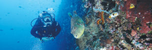 bunaken