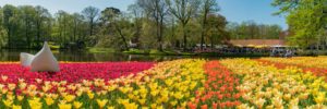 Wisata Eropa Dari Keukenhof Menuju Roma