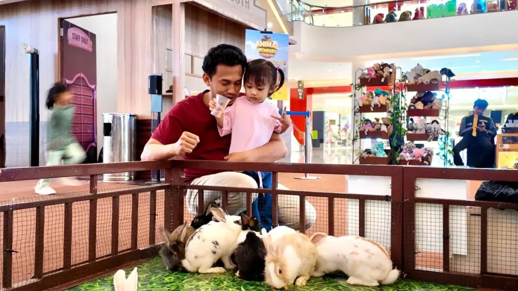 Animal Wonders di Mal Ciputra Tangerang 